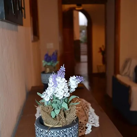 Casa Alamo Agaete Vendégház *