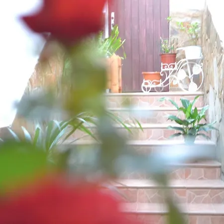 Casa Alamo Agaete Agaete