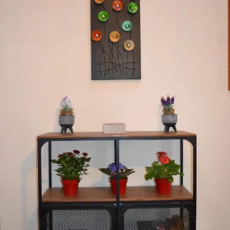 Casa Alamo Agaete * Agaete (Gran Canaria)